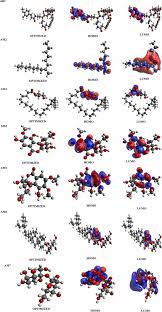Image result for Anthonotha macrophylla