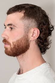Check spelling or type a new query. The Contemporary Guide To A Mullet Haircut Lovehairstyles Com