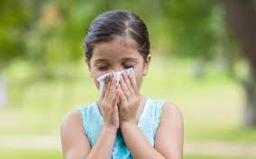 Kjerringråd funker ofte like godt som mer konvensjonelle tips. Bihulebetennelse Vitusapotek