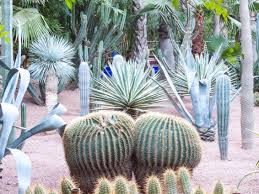 Die drei hektar große, opulente. Geheimtipp Fur Marrakesch Das Jardin Majorelle