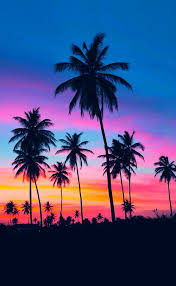 Foxtail palm (wodyetia bifurgata) is an up to 20 metres tall wedge leaflet fan palm (licuala ramsayi) is a beautiful tropical rainforest tree. Pin On Beach Coast