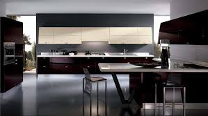 Glossy Maroon Kitchen Cupboard Modern Elegant Dark Kitchens 1024x577 Jpg 1024 577 Kitchen Decor Modern Italian Kitchen Design Modern Kitchen