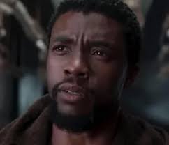 Is the plot of Puma Man similar to Black Panther?