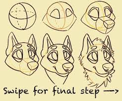 Made this Guide for Drawing Canine Heads from a 34 Angle 😁 (Questions  Critiques Welcome!) : rfurry