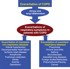 Image result for COPD Exacerbation Decision Tool