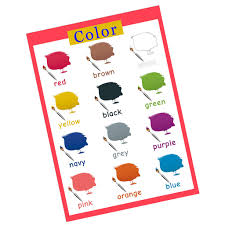 Buy Phenovo Toddler Learning Poster Educational Wall Chart