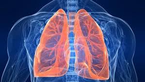 Bacterial pneumonia is an infection of your lungs caused by certain bacteria. Pneumonia Bacteriana Viral Quais Sao Os Sintomas Da Pneumonia Que Tratamento E E Contagiosa