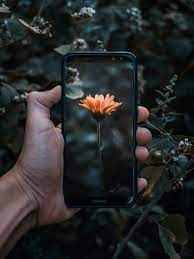 The garden tags app for android also offers the free plant identification feature that you can use to identify any plants, trees, and flowers for free. Top Apps To Identify Plants Marin Magazine