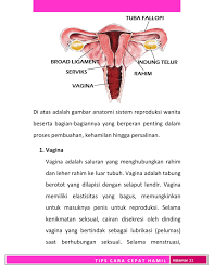 Kandungan merancang untuk hamil secara sihat cara untuk hamil dengan berhenti makan pil pencegah kehamilan Cara Cepat Hamil Alami For Android Apk Download
