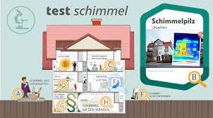 Wie kommt es zu schimmel in der wohnung? So Finden Sie Die Ursache Fur Schimmel