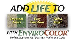 Get Envirocolor At Home Depot Online Stain On Pine Grass Painting Natural Grass