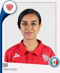 Página Oficial de la Liga Mexicana del Fútbol Profesional