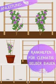 Rankhilfen Fur Clematis Im Beet Und Kubel Draht Holz Co Gartendialog De Rankhilfe Clematis Rankhilfe Selber Bauen