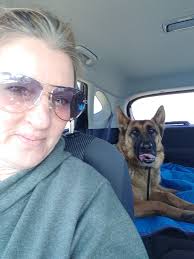 German Shepherd Adoption and Service Dog Training