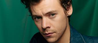 THE FRAGILE SIDE OF HARRY STYLES • MVC Magazine