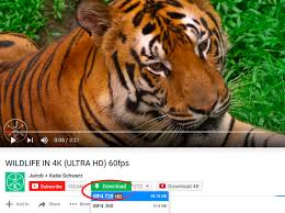 Cukup instal dan simpan video apa pun ke perangkat kalian hanya dalam satu kali klik dari aplikasi youtube atau dari dasbor aplikasi savefrom.net. Savefrom Net Helper All In 1 Youtube Downloader Get This Extension For Firefox En Us