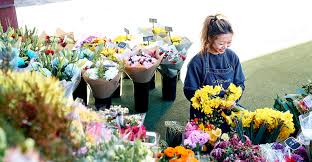 Check spelling or type a new query. Qnflowers Queen Victoria Market