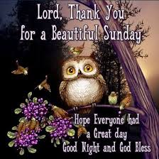 50 Best Happy Sunday Quotes To Share Good Night Blessings Blessed Night Happy Sunday Quotes