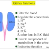 Kidney failure can occur in any cat. 1