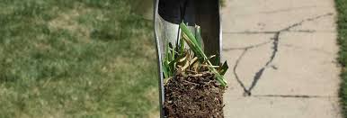 Our wide range of services are designed to take the hassle and guess work out of lawn care. Services Archives Omaha Organics Lawn Maintenance Fertilizer