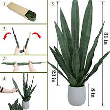 Is it the slithering leaves it blooms? Buy Summer Flower 21pcs Fake Snake Plant Leaves Set 23inch Tall Faux Sansevieria Plants Outdoor Artificial Snake Plant Leaf 4 Sizes For Indoor Home Decor Office Garden Tabletop Floor Decorations Online In Indonesia B08jls69cf