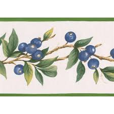 The height can vary, depending on the variety, from a few feet tall to 12 (3.5 m.) or more feet tall. Norwall Blueberries On Vine Wallpaper Border Green White Rona
