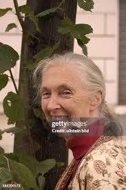 88 Jane Hoffmann Stock Photos, High-Res Pictures, and Images