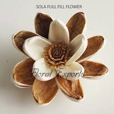 Check out 'our story' to know more about shopping in our stores. Sola Wood Flowers I Sola Flowers I Manufacturer I Wholesaler I Exporters