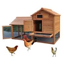 Cages à canards en bois d'extérieur - Maisons durables et ...