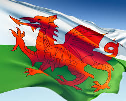 Wales flag, red dragon on the white and green. Wales Becomes The First Country To Log All Flowers Dna Blog Free Flower Delivery Across The Uk From Clare Florist