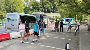 Evann haley onlyfans includes analysis of digital