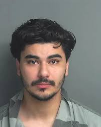 Bandit Vilt n' Vlad Rags Removed to Federal Court to Be With Friends