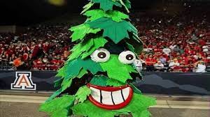 Would standford university accept 3.4 gpas? Stanford University Mascot 2 Youtube