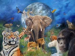 Extinct And Endangered How We Can Stop The Decline Of Biodiversity Today Animals Animal Paintings Animals Wild