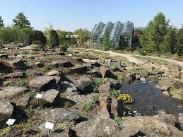 Dann kommen sie in den botanischen garten und zu seinem freundeskreis! Botanischer Garten Der Universitat Osnabruck Aktuelle 2021 Lohnt Es Sich Mit Fotos Tripadvisor