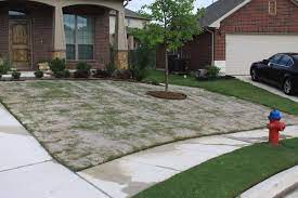 Lawn Leveling With Sand My Experience With Pictures Bermuda Grass Bermuda Grass Care Leveling Yard