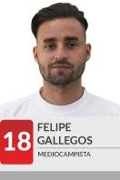 Luis Felipe Gallegos