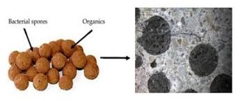 Bacterial Concrete or Self Healing Concrete For Crack Repairs