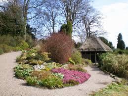 Place taller perennials like echinacea, phlox and delphinium behind. How To Create The Perfect Perennial Garden