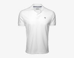 Download Polo Shirt Png White Collared T Shirt Png Transparent Png 600x600 Free Download On Nicepng