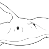 Free pdf download at … (corey greene) free printable sea animals coloring pages with sample picture. 1