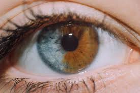 Eyes Panosundaki Pin