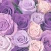 Lavender is a light shade of purple. 3