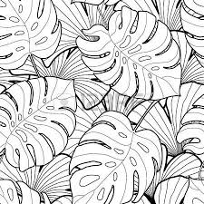 Black And White Line Drawing Background Black And White Graphic Tropical Leaves Seamless Pattern Palm Leaf Drawing Flower Illustration Flower Drawing