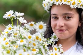 9,851 Cute Daisy Girl Stock Photos