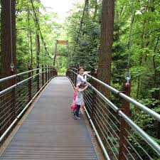 Bellevue Botanical Garden Suspension Bridge Garden Bridge Botanical Gardens Places To Go