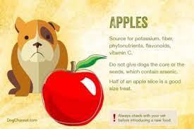 Can German Shepherds Eat Apples Lorecentral