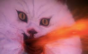 That was the premise behind our first list of excellent scary movies from the land of the rising sun, which introduced you to some excellent japanese. The 5 Japanese Horror Movies You Must Watch