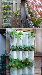 23 Wahnsinnig Clevere Gartenideen Mit Kleinem Budget Budget Clevere Gartenideen Kleinem Wahnsinnig Garten Kreative Garten Ideen Garten Ideen