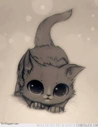 أجمل صور قطط Kitten Drawing Cute Anime Cat Cute Drawings